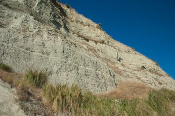 Fototapeta na wymiar Sea cliff in the Cape Kidnappers Gannet Reserve. North Island. New Zealand.