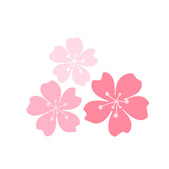 Pink cherry blossom isolated on white background vector illustration. Sakura flower.