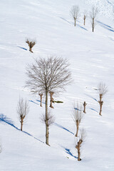 Snowy landscape in winter in the Valle del Miera in the Valles Pasiegos de Cantabria. Spain.Europe
