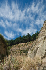Fototapeta premium Ravine and cliffs in Cape Kidnappers Gannet Reserve. North Island. New Zealand.