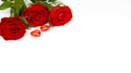 Red roses on a white background, top view.