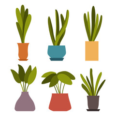 Indoor plants in pot vector cartoon set isolated on a white background.