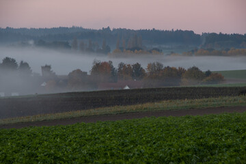 Nebel, Landschaft, Dunst, Herbst