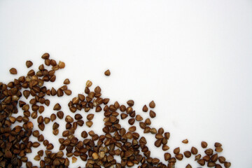 Buckwheat on a white background. Copy space.