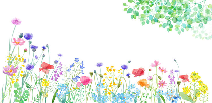 色々な花が咲き乱れる春の野原と、新緑の枝葉の水彩イラスト。バナー背景。