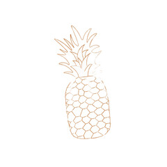 Pineapple, tropical fruit. Vector image of a pineapple. Doodle style. Brown stroke on a white background. For stylized page, sticker or tag design