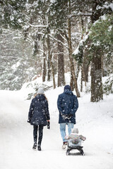 Family with kid or child walking in the forest in winter with sled and white winter landscape on background, vertical