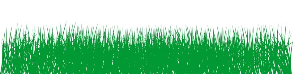 Obraz premium Grünes Gras vektor auf einem isolierten weißen Hintergrund.