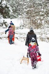 Family with kids or children walking in the forest in winter with sledges and white winter landscape on background, vertical