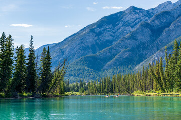 Fototapeta na wymiar Bow River Trail in summer time. Mount Norquay in the background. Beautiful nature scenery in Banff National Park, Canadian Rockies, Alberta, Canada.