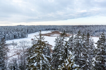 View from the view tower in Lielie Kangari to the frozen lake and surrounding forest in January in Latvia