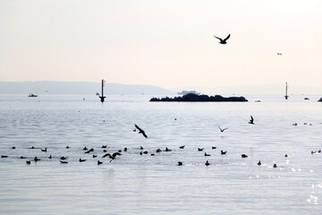 Obraz na płótnie Canvas Small fishing boat and seagulls on the sea. Picturesque landscape in Split, Croatia.