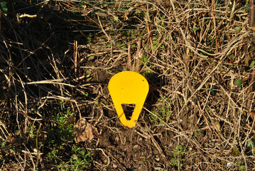 Close Up of Yellow Plastic Boundary Marker 