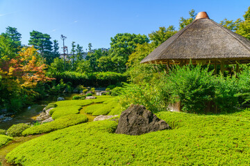 Yoko-en (pond garden) of the Taizo-in Temple, Kyoto