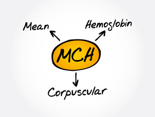 MCH - Mean Corpuscular Hemoglobin acronym, medical concept background
