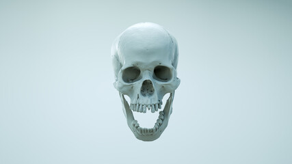 Human skull with an open lower jaw on a Dark isolated background. The concept of death, immortality, eternal life, horror. Acult symbol. Spooky Halloween symbol. 3D render