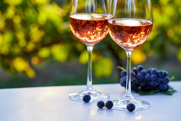 Two glasses with rose wine on the table, outside in the vineyard