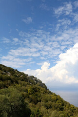 Olive and pine trees, sea and clouds. Beautiful Mediterranean landscape on island Lastovo, Croatia.