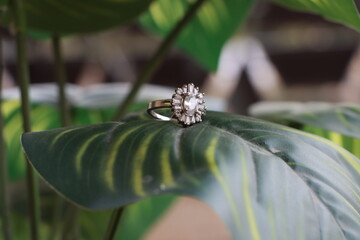 Silver Diamond Ring focus horizontally on a Big green leave with yellow stripes in a balcony