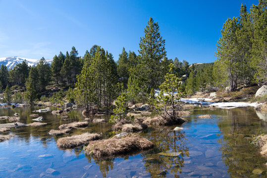 Mountain lake Matemale France Pyrenees spring time