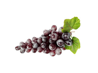 Dark blue grapes with green leaves isolated on white background.