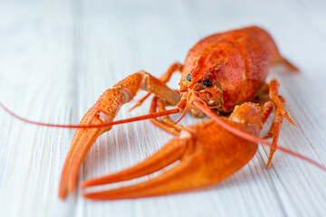 Crawfish boiled on white wooden background