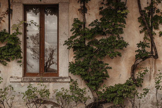 Italy, Central Italy, Lazio, Tivoli. A window on the wall with ivy. Tivoli architecture and landmark. Italian architecture. Ancient building 