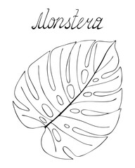  Monstera leaf in black outline, hand-drawn, doodling style. Lettering. Vector illustration
