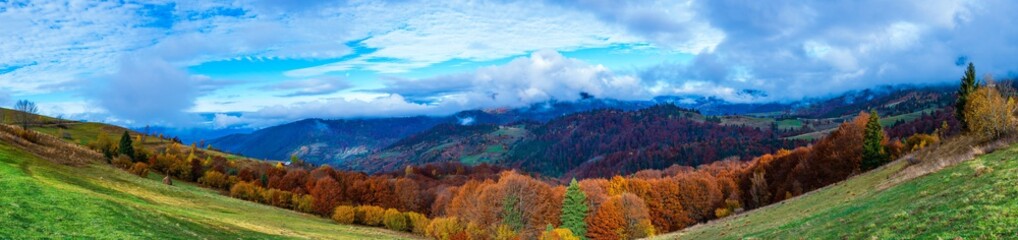 Colorful forests in the warm Carpathian mountains covered with thick gray fog