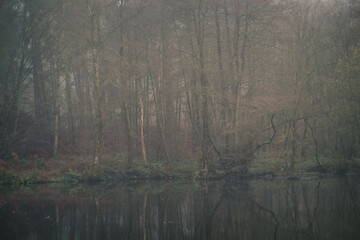 Cannock Chase National Forest UK