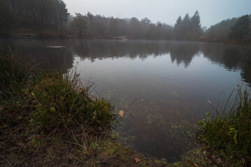 Obraz premium Cannock Chase National Forest UK