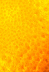 Close up photo of orange peel. Oranges ripe fruit background, macro view. Close up.