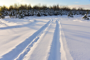 Snowy road in winter forest on sunset background. Awesome winter landscape. A snow-covered path among the trees in the wildlife. Forest in the snow. Tire tracks from a car that ran in the snow