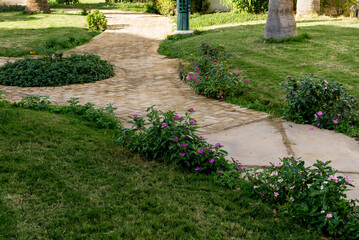 Fototapeta premium Luxury landscape design of the tropical summer garden