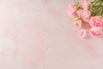 Flower frame. pink rose on pink marble background.