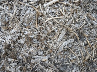 Gray wood ash texture background, grey ashes from the fire