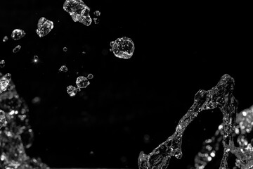 Splashing water on black background. Free space for text. Black and white macro photo.