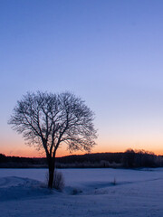 Fototapeta na wymiar Sunset in the winter