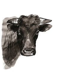 Bull portrait, sumi-e illustration. Oriental ink wash painting . Symbol of the eastern new year of the Ox.