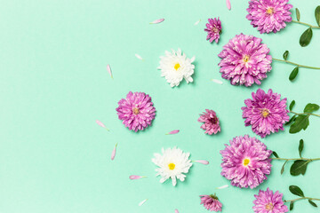 Creative layout made with violet and white flowers on pastel green background