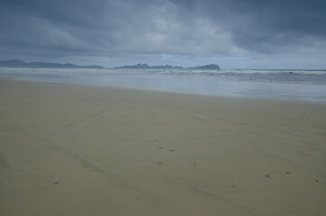 Beach in Mason Bay. Stewart Island. Rakiura National Park. New Zealand.