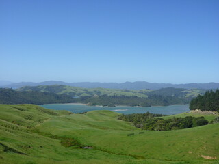 Fototapeta premium the Coromandel Peninsula, Waikato, North Island, New Zealand, November