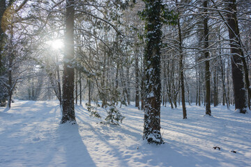 Park Dworski w Iłowej w zimowy, słoneczny dzień.