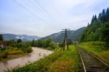 A fast mountainous shallow river rushes over the stones among the mountains, forests and green landscapes. There are tourist trails of the Carpathians