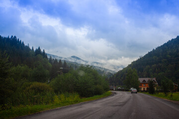 Mountains landscapes hiking trails wilderness forest fields and flowers farm car road haystacks Carpathians
