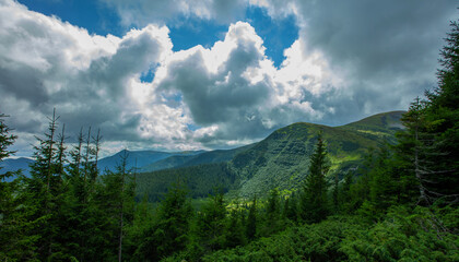 Mountains landscapes hiking trails wilderness forest fields and flowers farm car road haystacks Carpathians