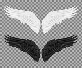 Set of angel and devil realistic wings, horns and halo. White and black wings