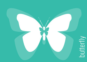 Simple butterfly background blue colour for decoration