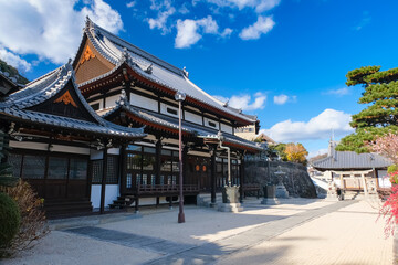 Fototapeta premium 尾道市 妙宣寺 本堂