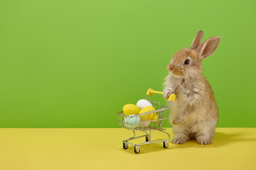 Easter bunny rabbit with shopping basket and sweet colorful eggs on green and yellow background - 410129507